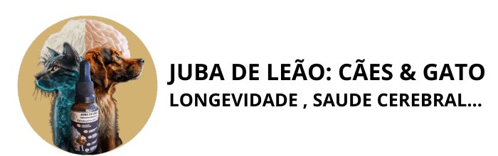 MENO JUBA DE LEAO PARA PET (2)