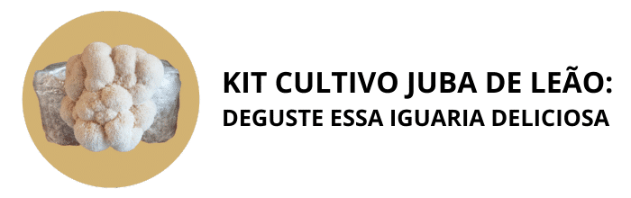 MENU KIT CULTIVO JUBA DE LEAO (3)